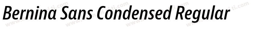 Bernina Sans Condensed Regular字体转换